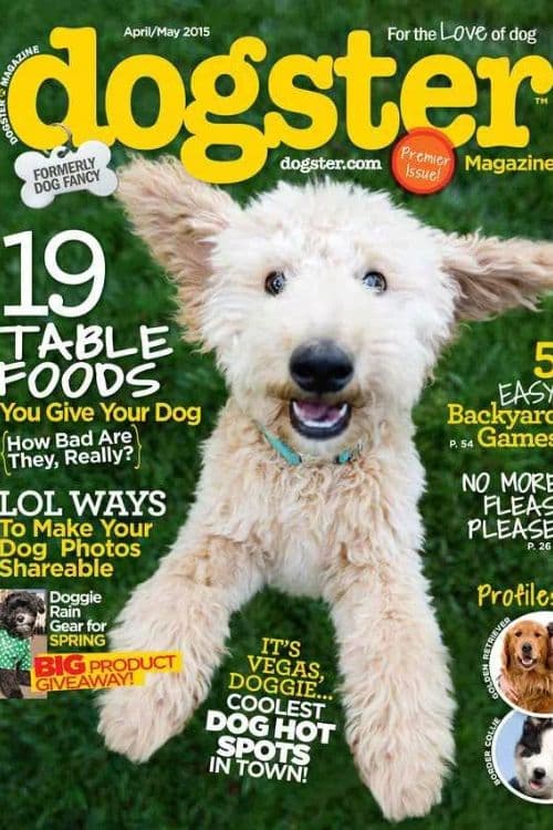 Top 10 Magazines For Wildlife Lovers - Dogster