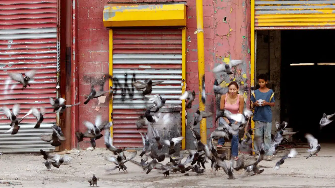 10 Movies That Perfectly Depict Brother Sister Bond - Chop Shop (2007)