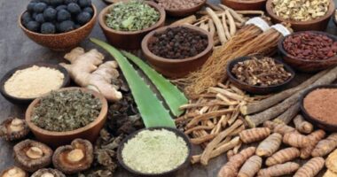 Impact of Ayurveda in Modern Medical Science