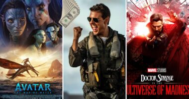 The Biggest Blockbuster Movies of 2022 (According to IMDb)