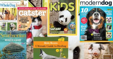 Top 10 Magazines For Wildlife Lovers