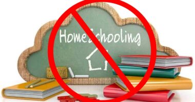 10 Disadvantages of Homeschooling
