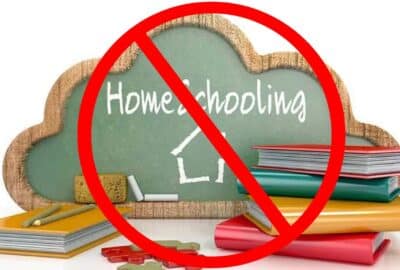 10 Disadvantages of Homeschooling