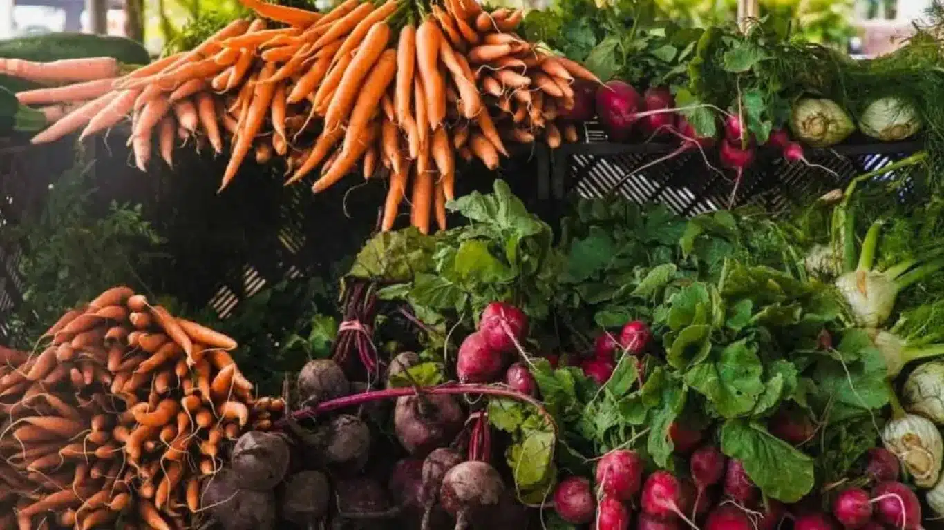 Benefits of biodiversity