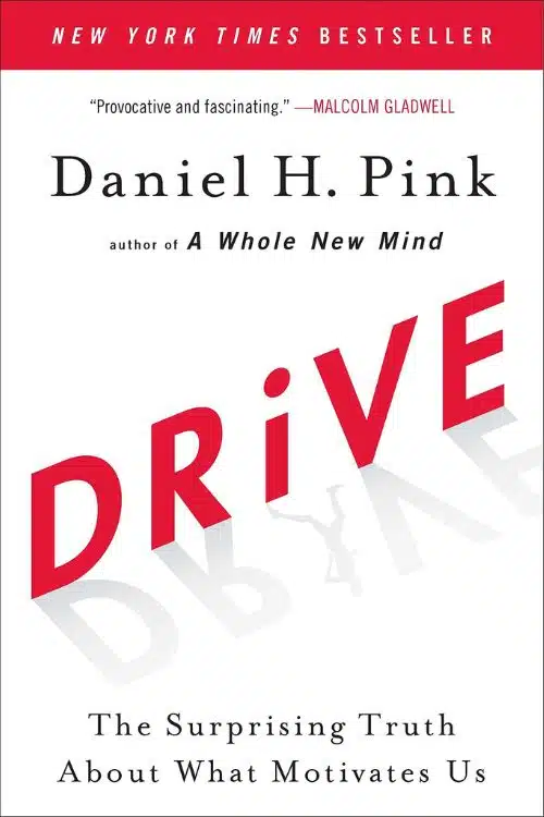 The Best Books About Working in an Office - Drive: The Surprising Truth About What Motivates Us