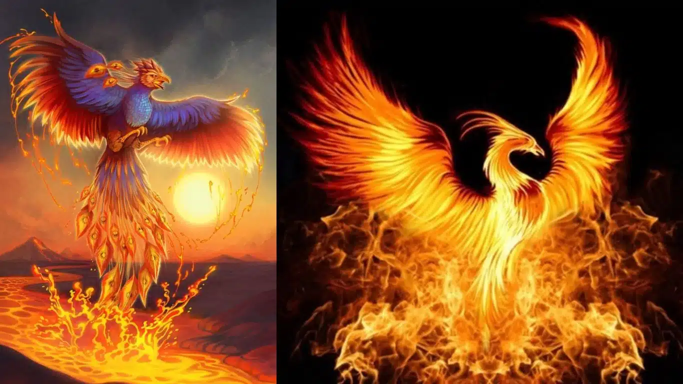 Which Mythical Creature Are You - Phoenixes