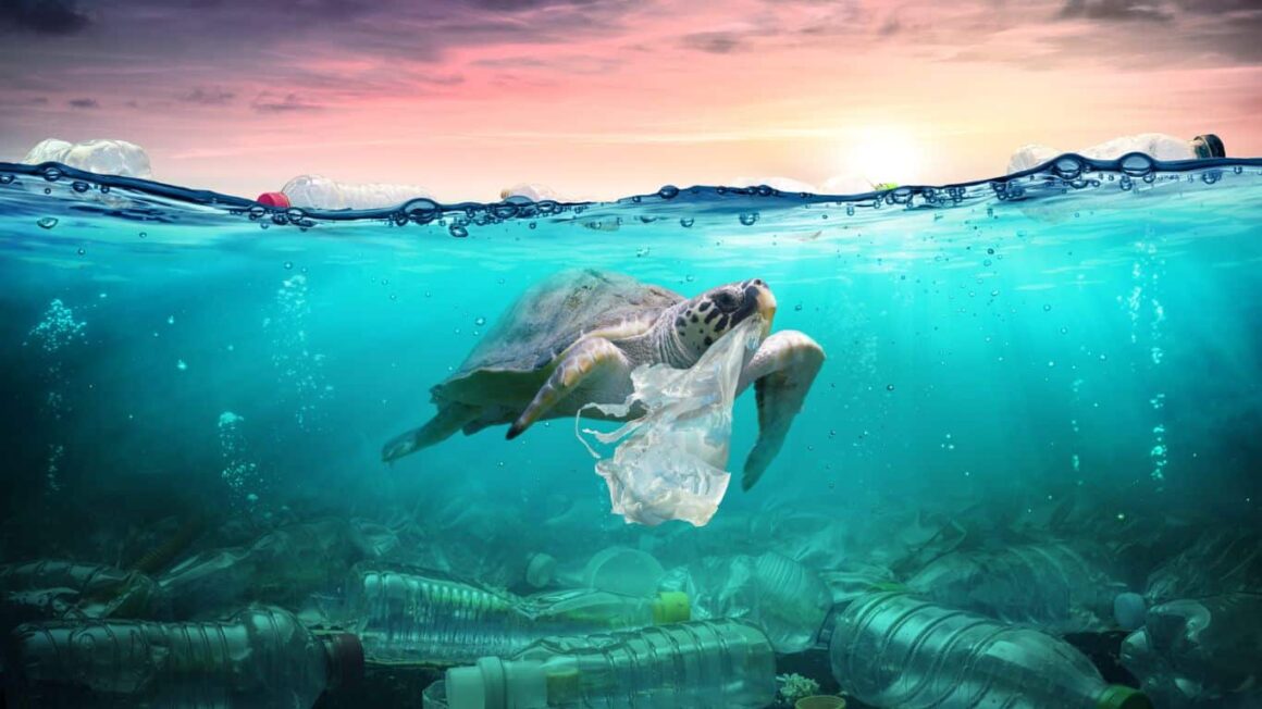 The Threat of Plastic Pollution and What We Can Do About It