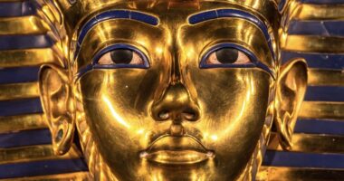 Uncovering the Mysteries of Pharaohs