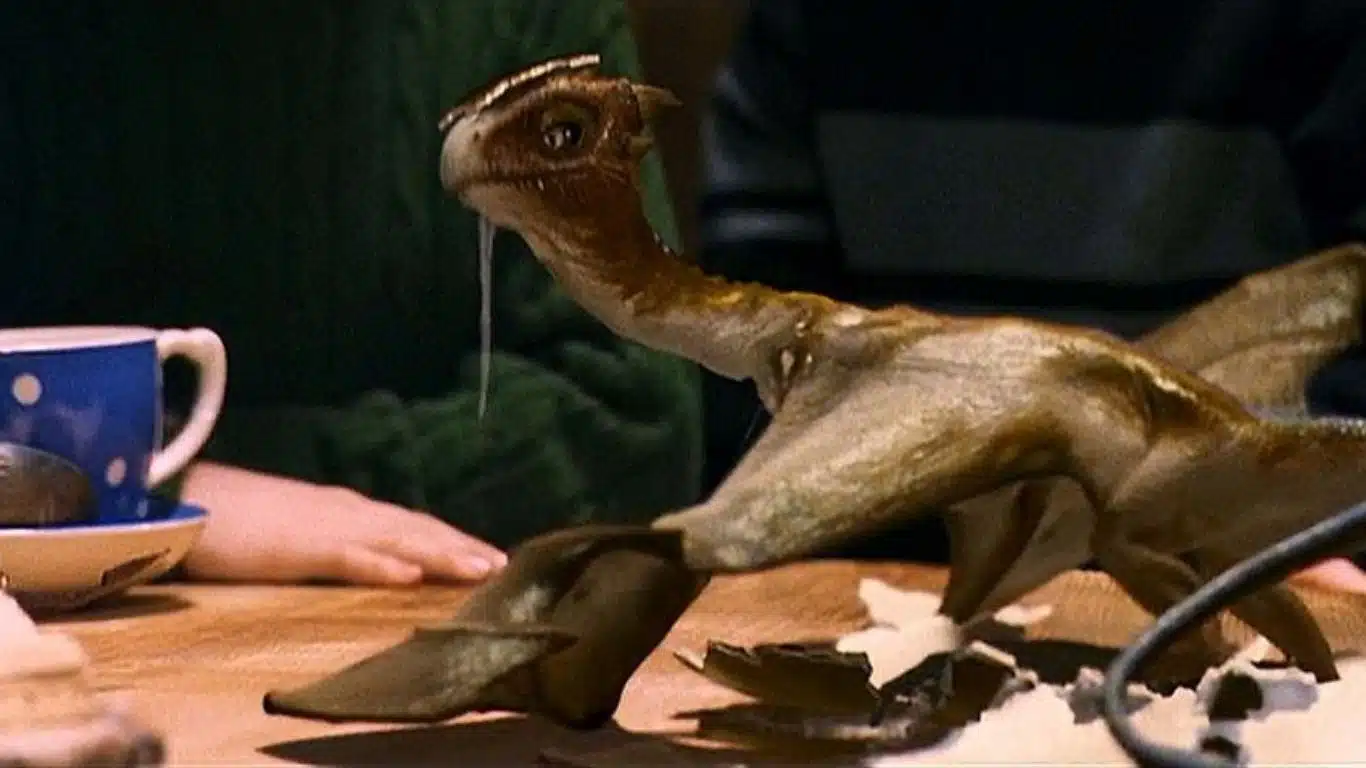 Discover the Legendary Dragons of Mythology and Literature - Norberta (Harry Potter)