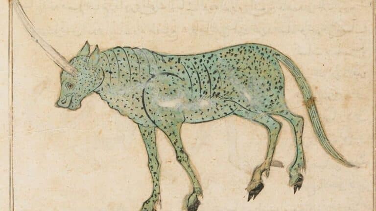 Most Famous Unicorns from Different Mythology - Gobookmart