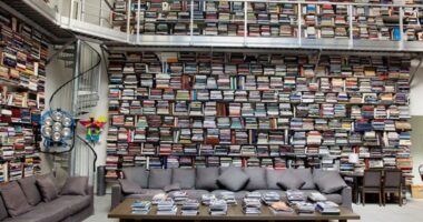 How to Build a Personal Library: Collecting Books That Speak to You