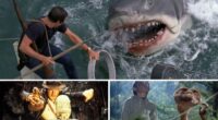 Top 10 Movies of Steven Spielberg