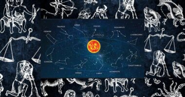 Exploring The Origins and Importance of The Zodiac Signs