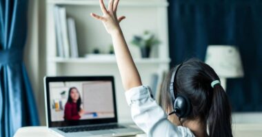 The Impact of Online Learning on Traditional Education