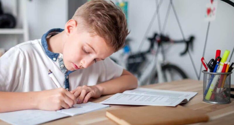 Why Homework is Important for Building Responsibility and Discipline 