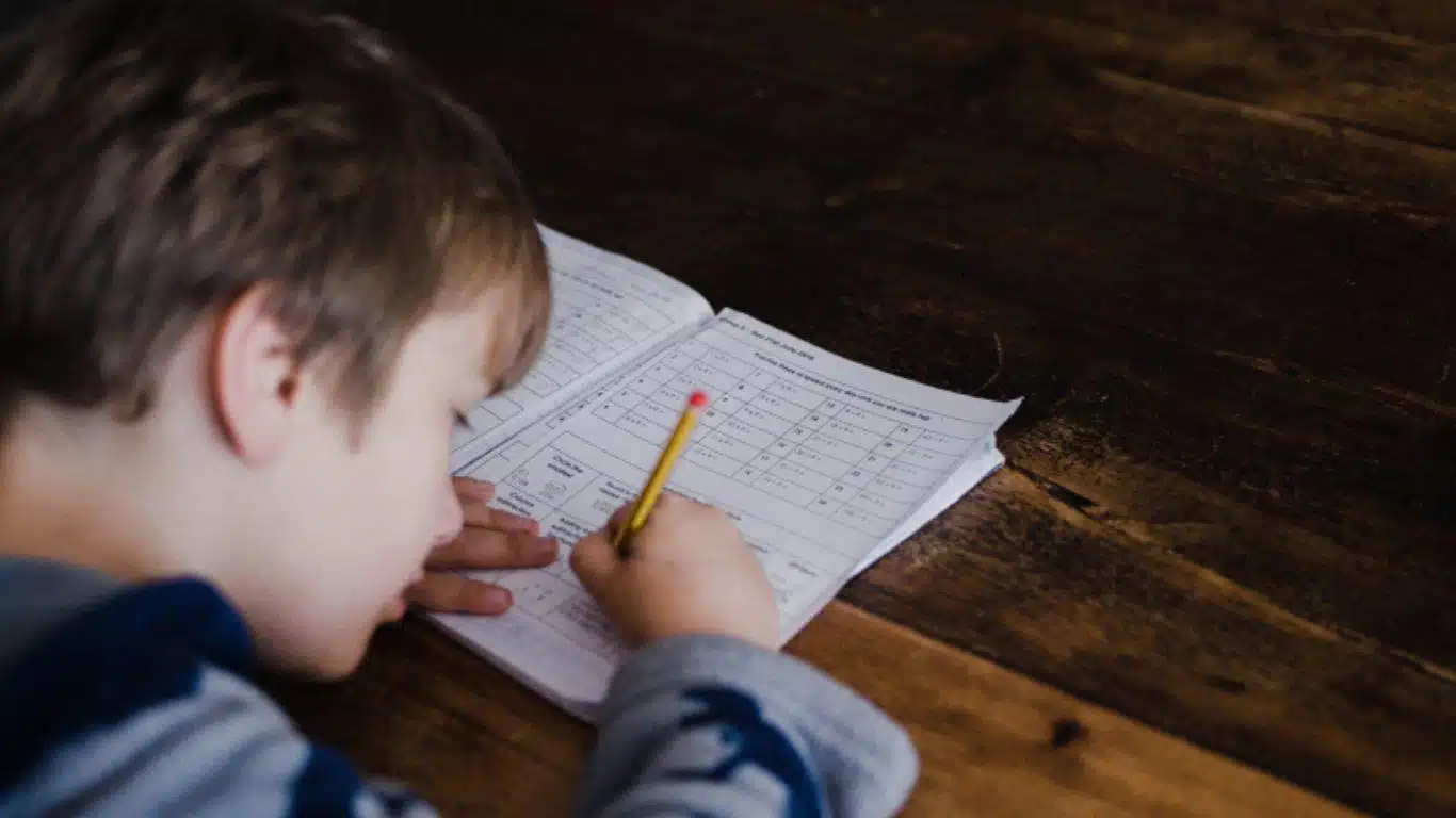 Why Homework is Important for Building Responsibility and Discipline - It Encourages Self-Directed Learning