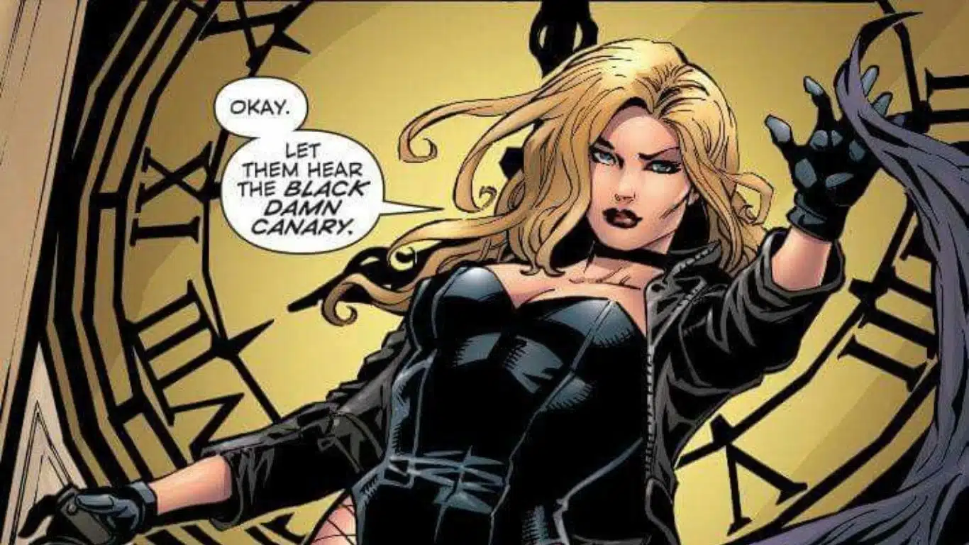 The Top 10 Superheroes with Names Beginning with B - Black Canary (DC Comics)