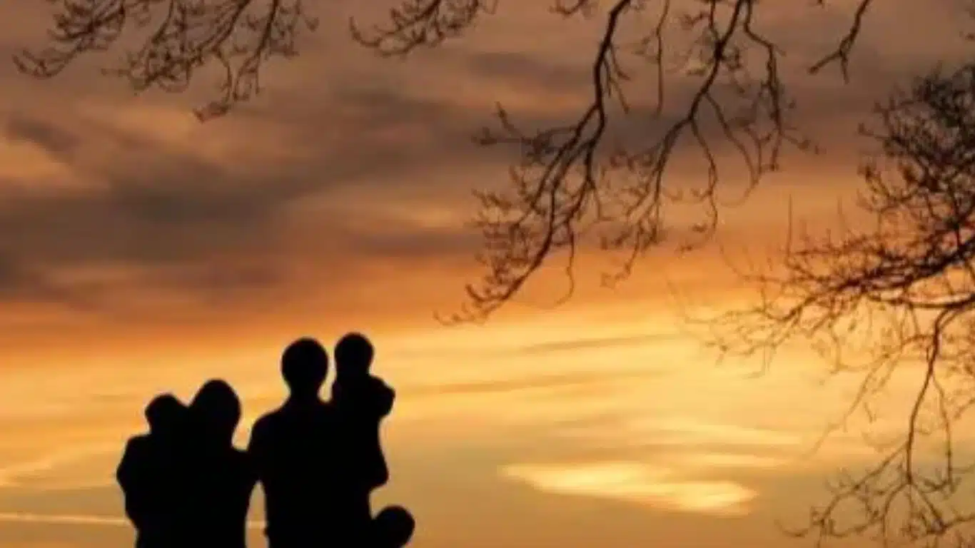 Historical Romance and Family Sagas