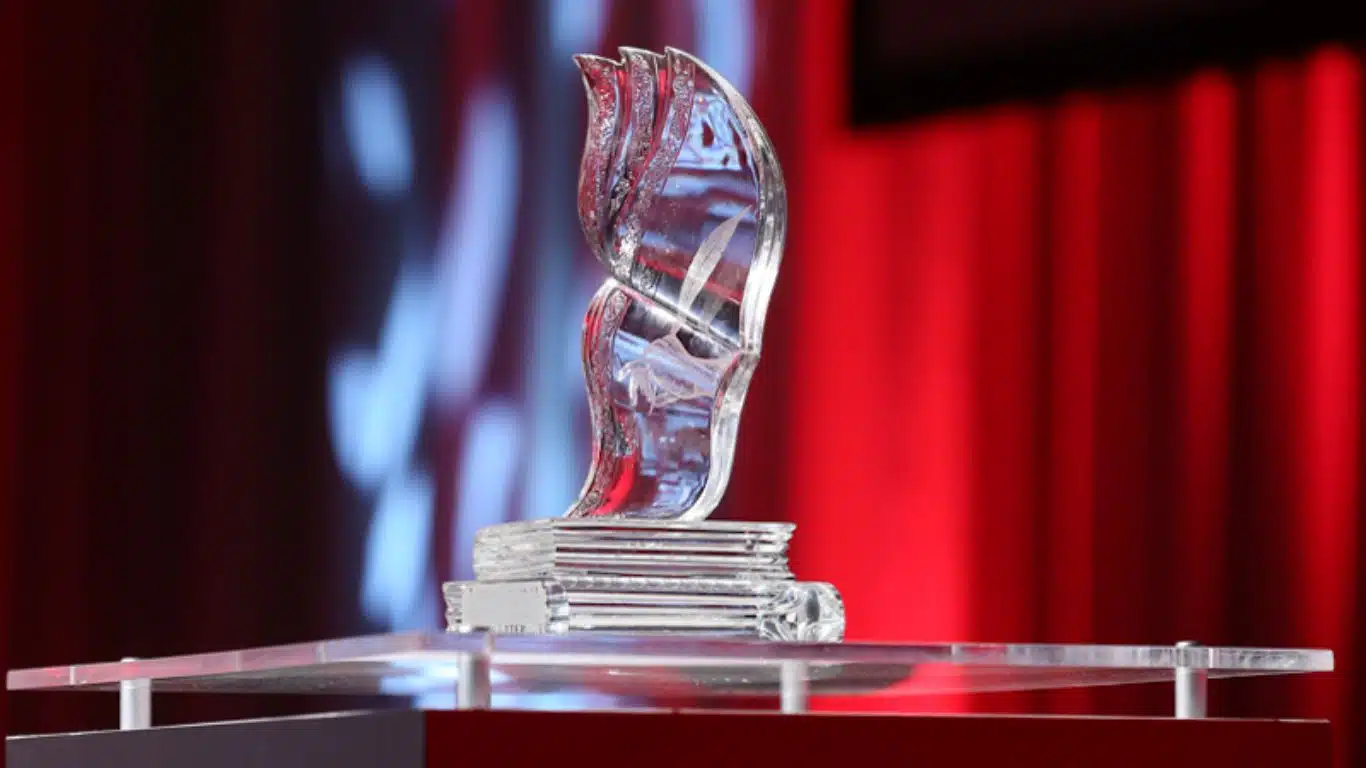 10 Most Prestigious Award For Authors and Writers In The World - International Dublin Literary Award