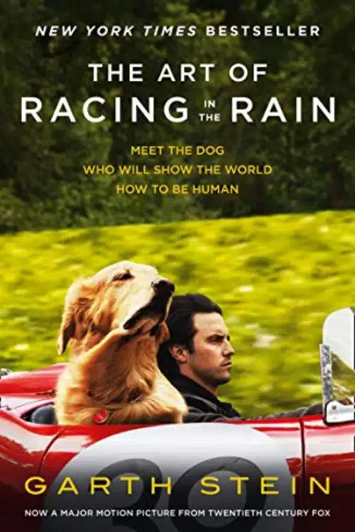 The Art of Racing in the Rain by Garth Stein
