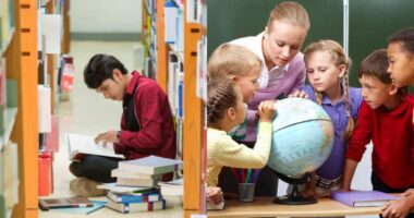 Which Country has the Highest Literacy Rate - Ranking Top 10