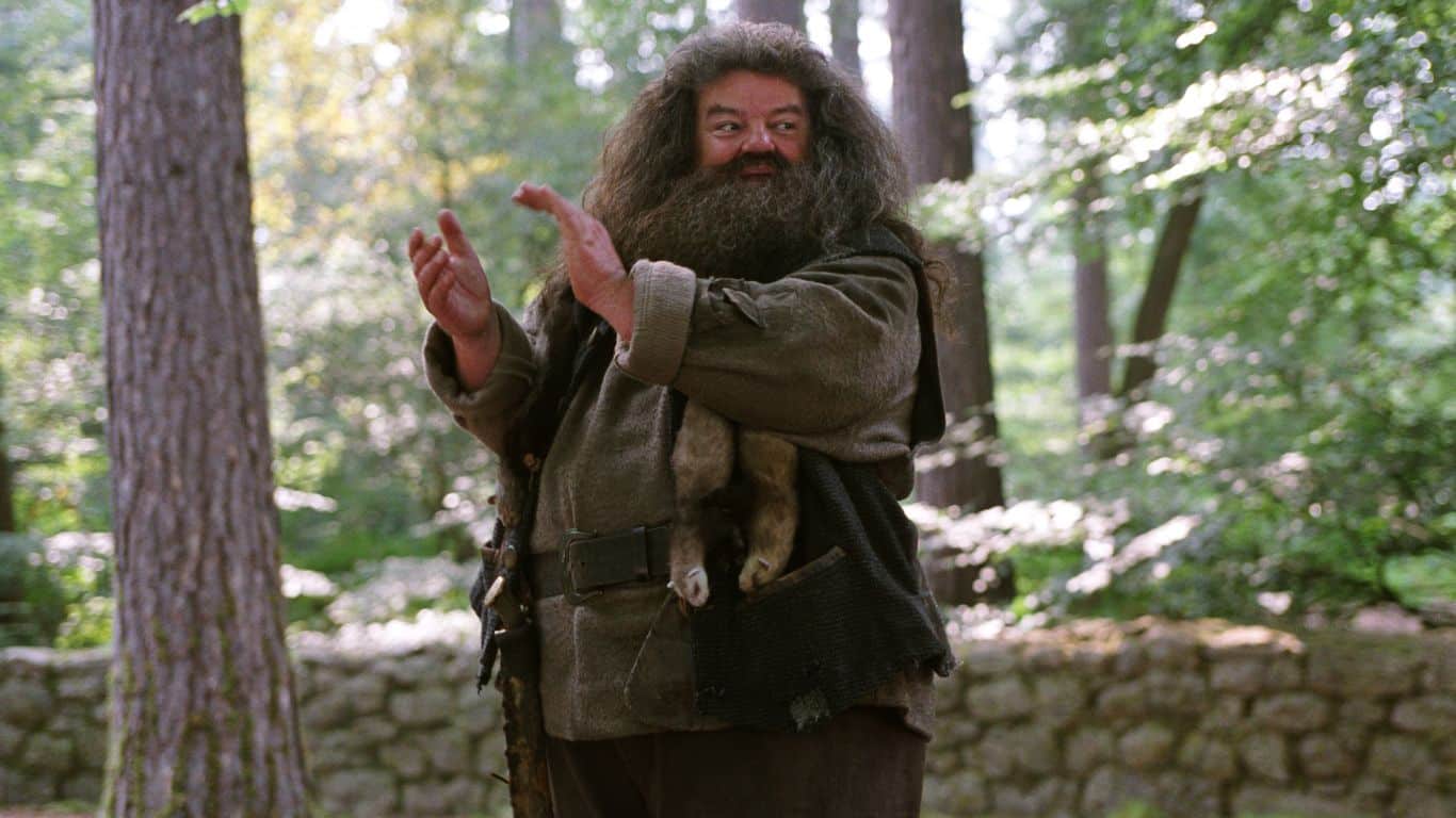 10 Most Heartbreaking Moments in Harry Potter - Hagrid's Reaction to Buckbeak's Sentencing