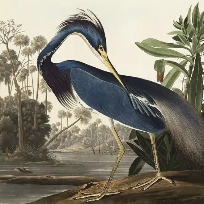 10 Fascinating Beasts of Egyptian Mythology - Bennu