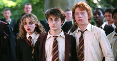 Friendship Lessons We Can Learn from Harry Potter