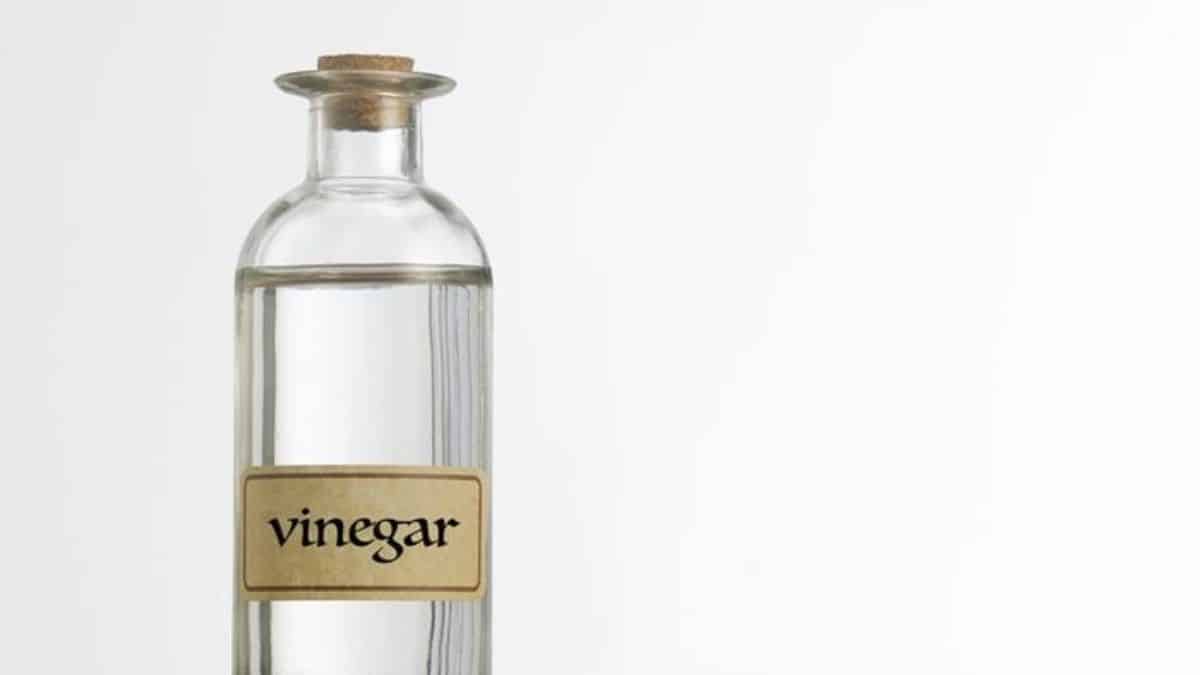 10 Things We Eat and Drink That Never Spoil/Expire - Vinegar
