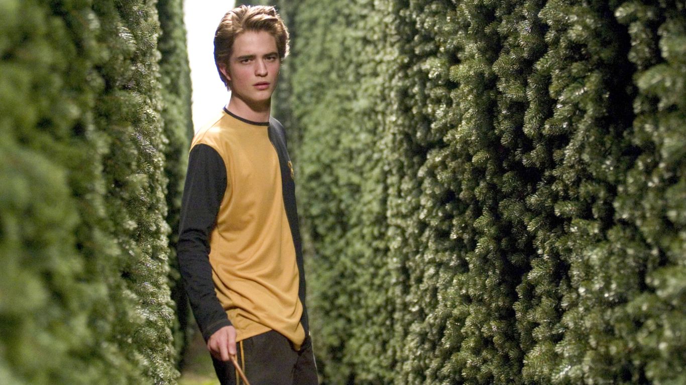 Top 10 Side Characters From Harry Potter (Ranked) - Cedric Diggory