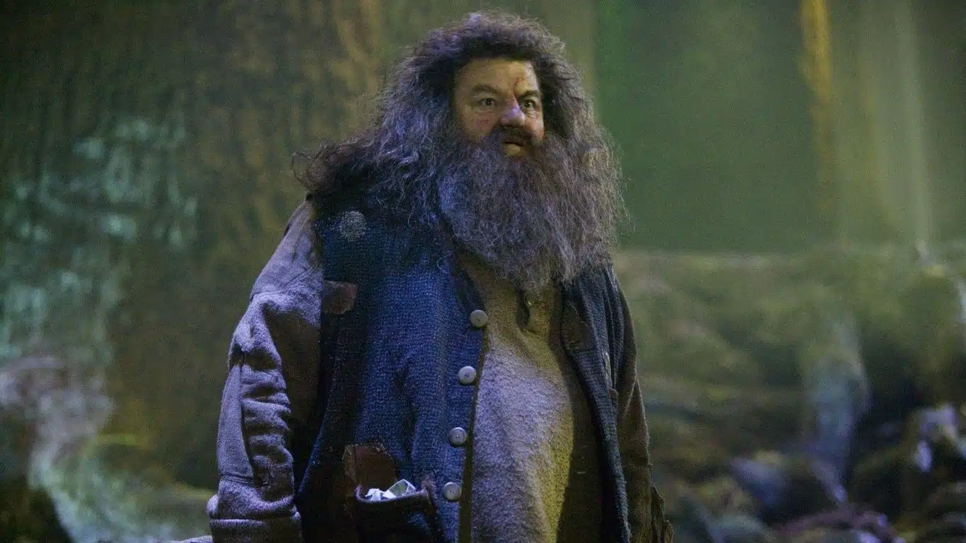Rubeus Hagrid
