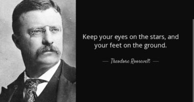 Keep your eyes on the stars, and your feet on the ground – Theodore Roosevelt