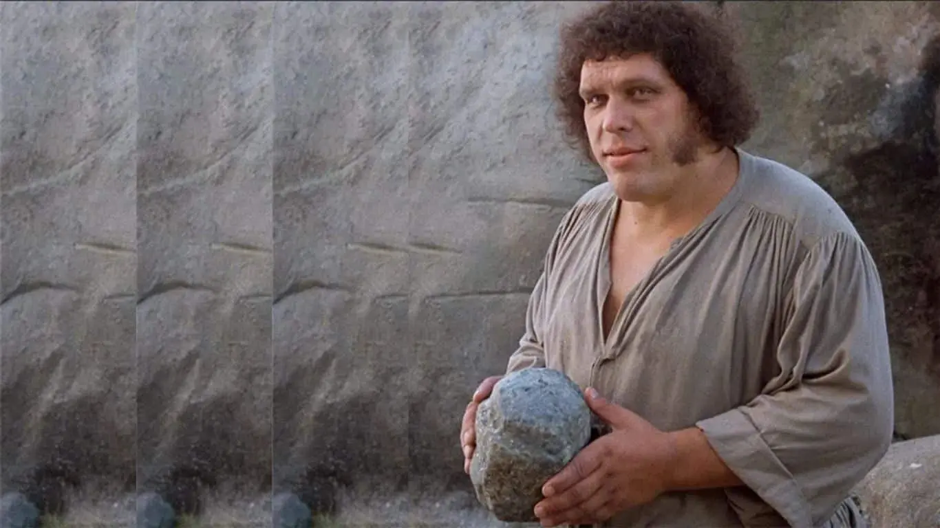 Top 10 Acting Performances By Pro Wrestlers in Movies - Andre the Giant