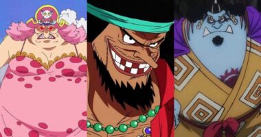 15 One Piece Characters with the Most Ridiculous Appearances, Ranked