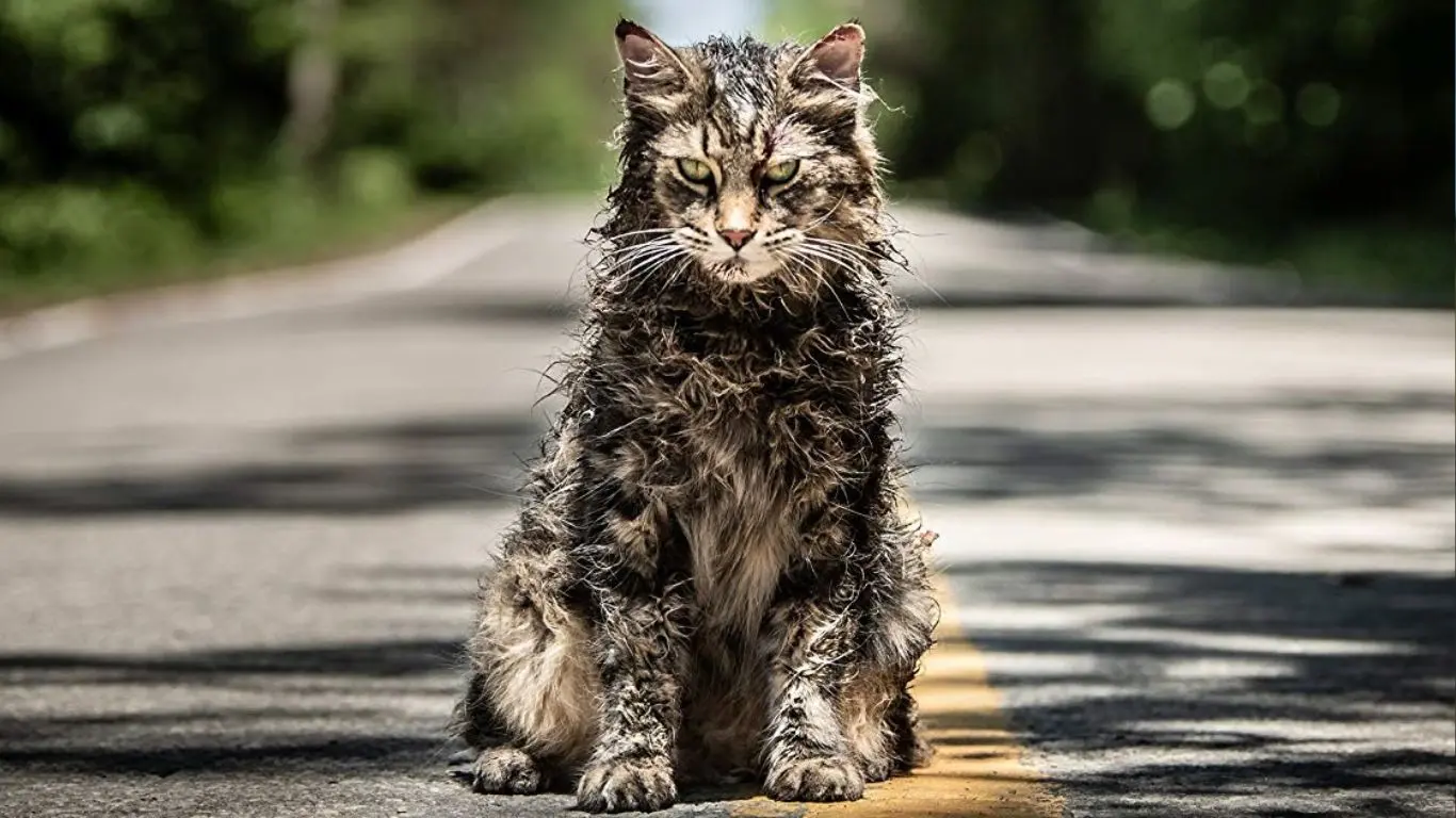 Pet Sematary