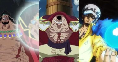 Top 10 Most Powerful Devil Fruits in 'One Piece' and Their Users