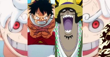 Unknown Facts About Devil Fruit in One Piece