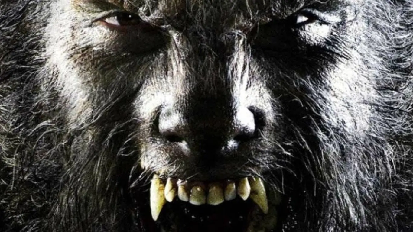 Wolves and Werewolves: Origin Stories and Mythology