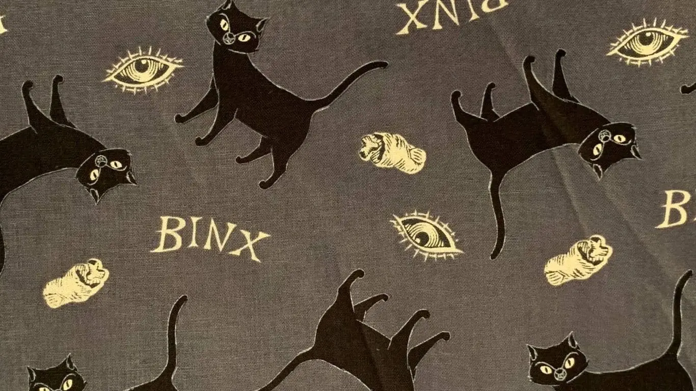 Binx (Hocus Pocus)