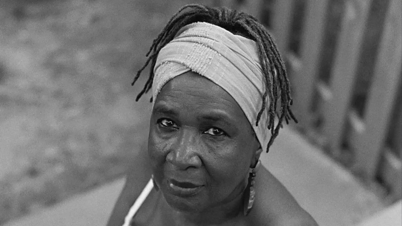 Famous Authors Who Died in October 2023 - Louise Meriwether