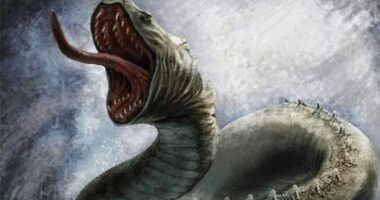 Jörmungandr | World Serpent or Midgard Serpent