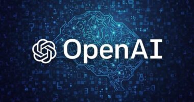 What is the Source of OpenAI's Data?