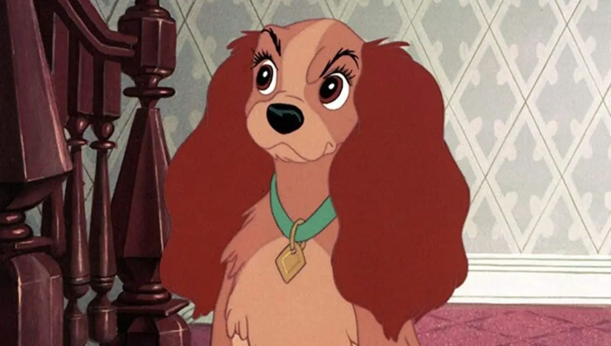 Top 10 Disney Characters whose names start with L - Lady (Lady and the Tramp)