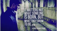 It matters not what someone is born, but what they grow to be