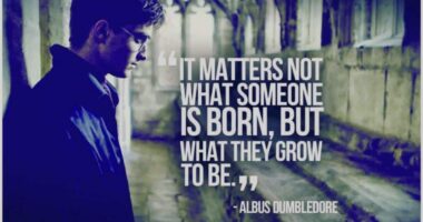 It matters not what someone is born, but what they grow to be