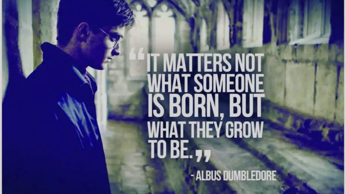 It matters not what someone is born, but what they grow to be