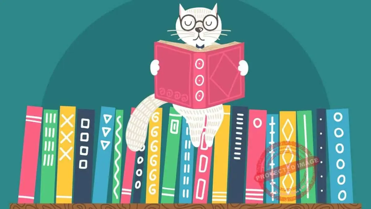 10 Reasons To Read Translated Books - Enhanced Imagination