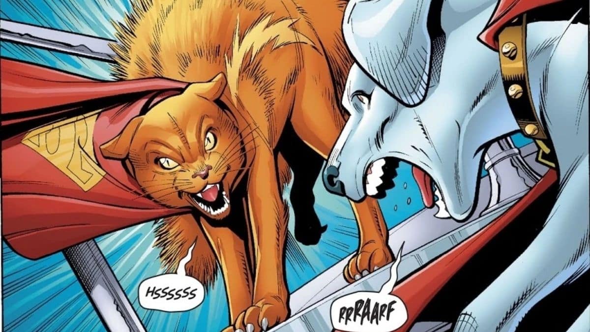 Les 15 animaux super-héros les plus cool – Streaky the Supercat