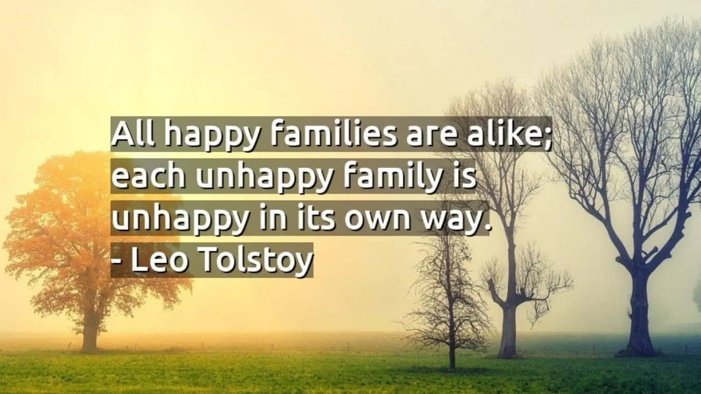 "All happy families are alike; each unhappy family is unhappy in its own way." - Leo Tolstoy