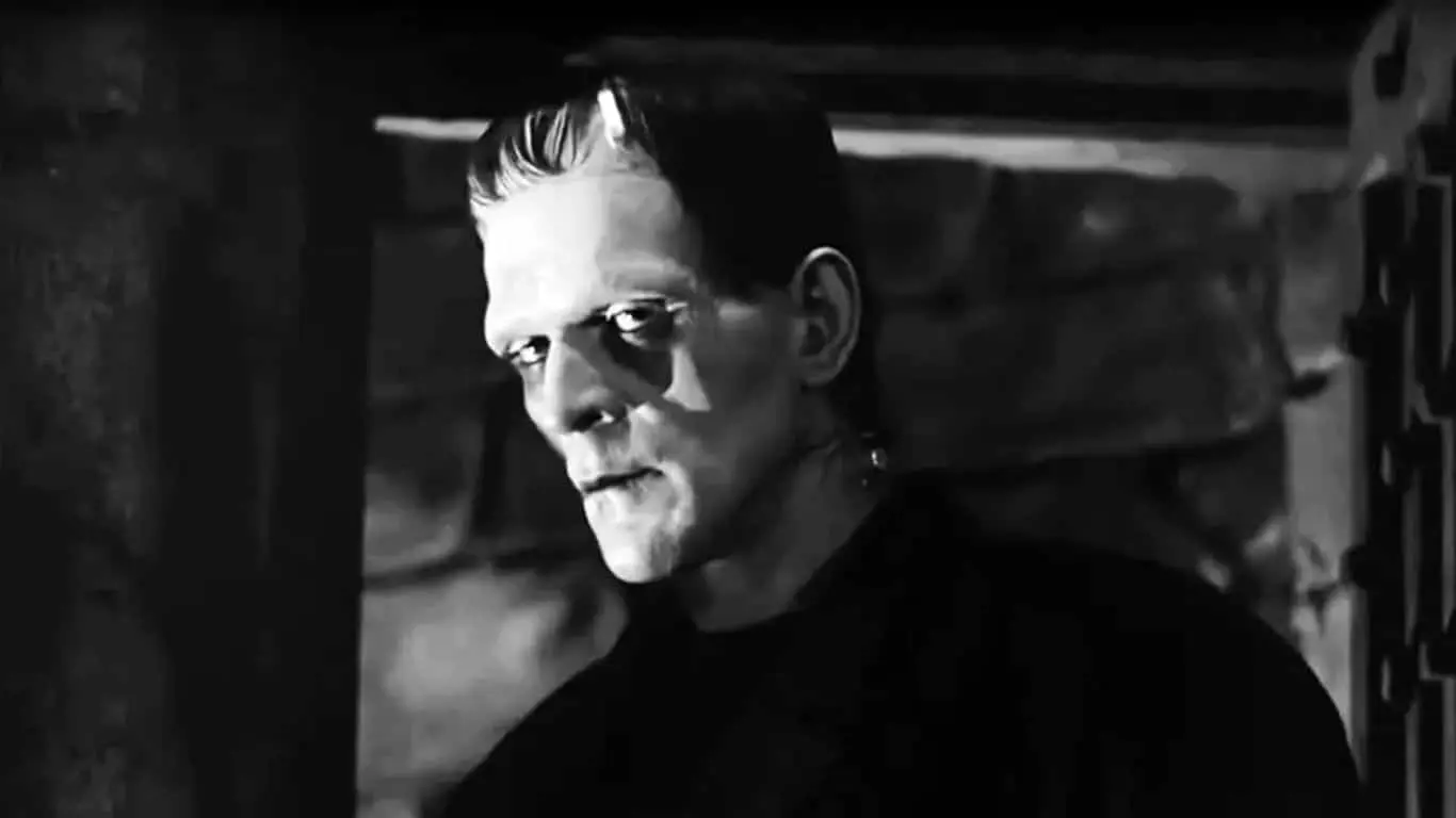 10 Memorable characters from Books Whose Names Begin with ‘F' - Frankenstein's Monster ("Frankenstein" by Mary Shelley)